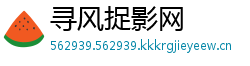 寻风捉影网